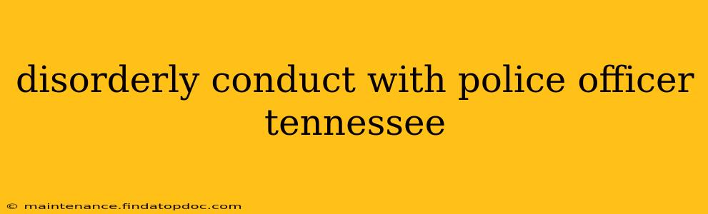 disorderly conduct with police officer tennessee