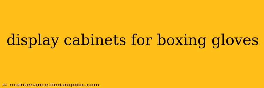 display cabinets for boxing gloves