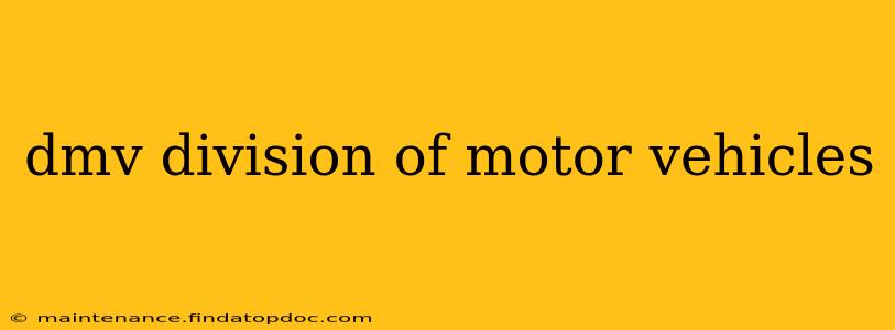 dmv division of motor vehicles
