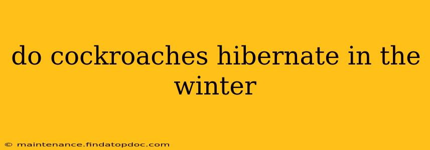do cockroaches hibernate in the winter