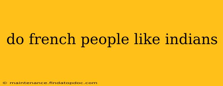 do french people like indians