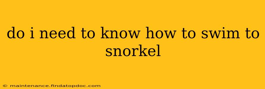 do i need to know how to swim to snorkel