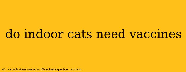 do indoor cats need vaccines