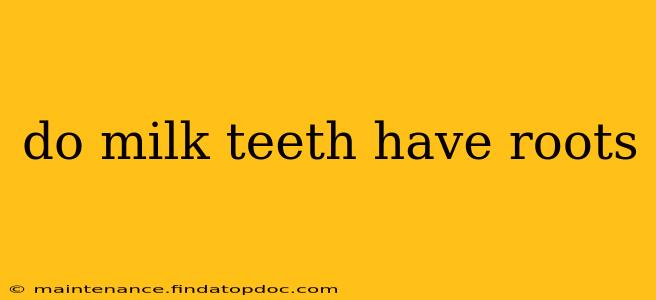 do milk teeth have roots