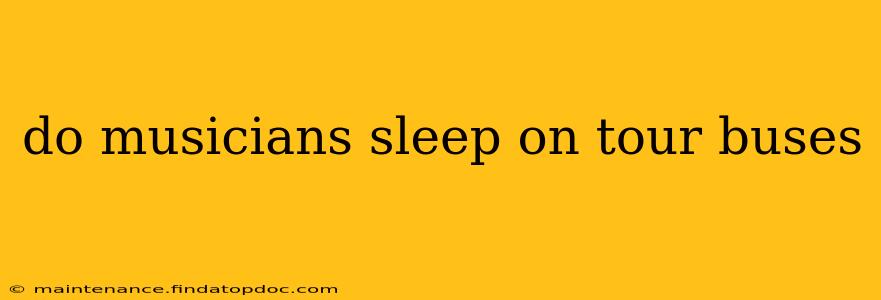 do musicians sleep on tour buses
