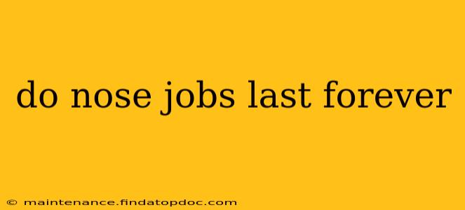 do nose jobs last forever