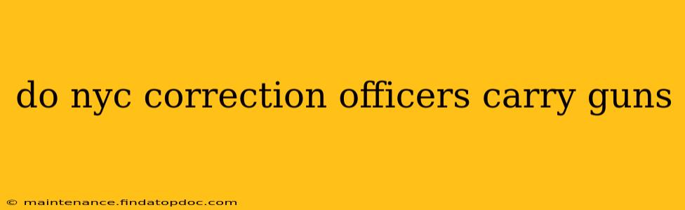 do nyc correction officers carry guns