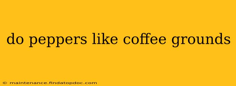 do peppers like coffee grounds