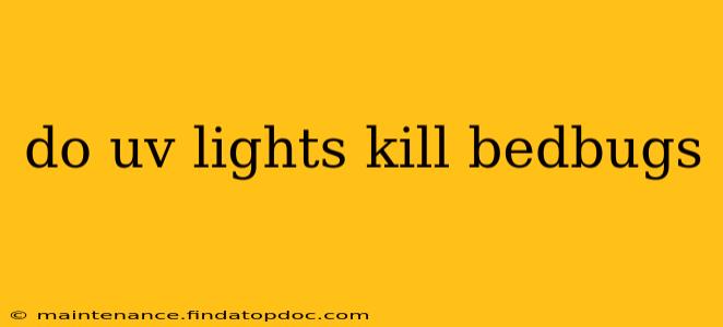 do uv lights kill bedbugs