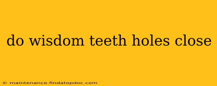 do wisdom teeth holes close