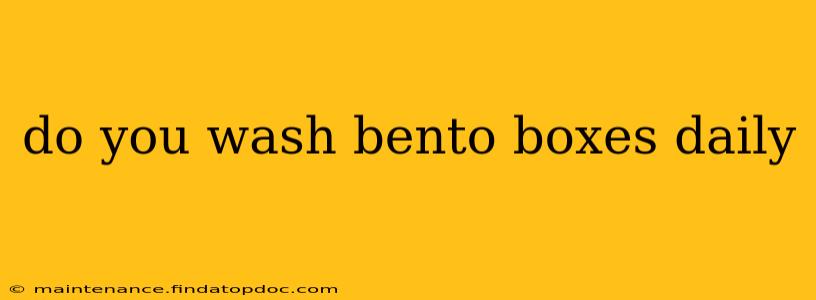 do you wash bento boxes daily