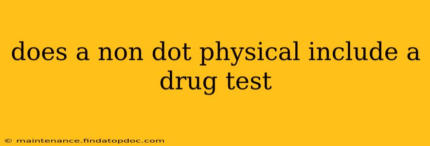 does a non dot physical include a drug test