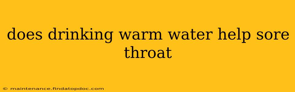 does drinking warm water help sore throat