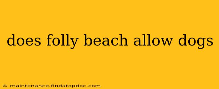does folly beach allow dogs