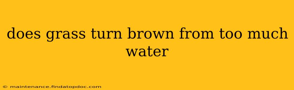 does grass turn brown from too much water