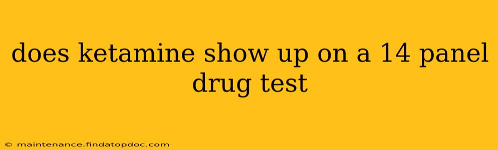 does ketamine show up on a 14 panel drug test