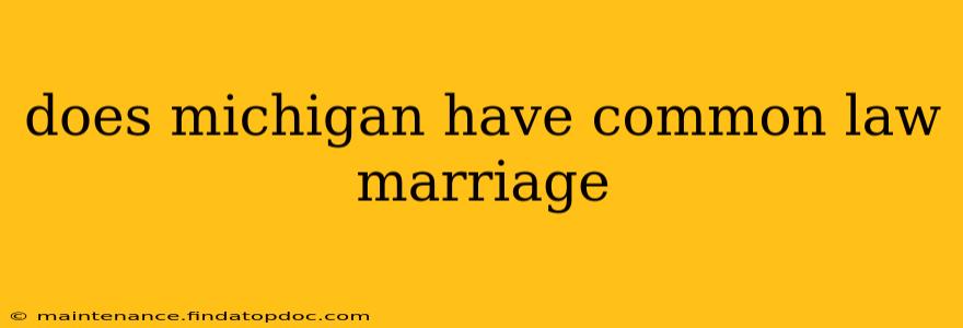 does michigan have common law marriage