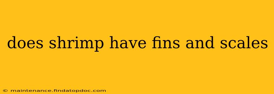 does shrimp have fins and scales