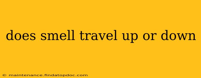 does smell travel up or down
