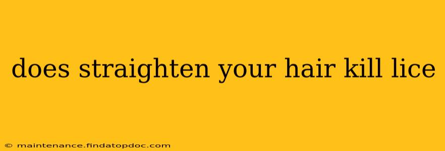 does straighten your hair kill lice