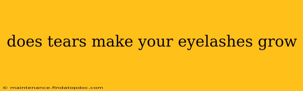 does tears make your eyelashes grow