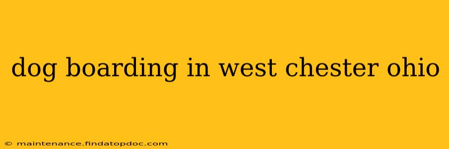 dog boarding in west chester ohio