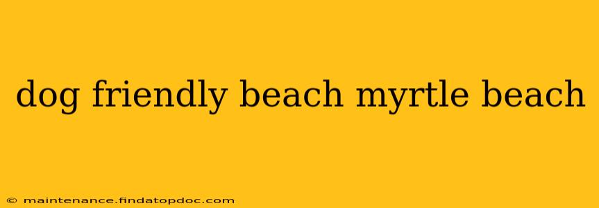 dog friendly beach myrtle beach