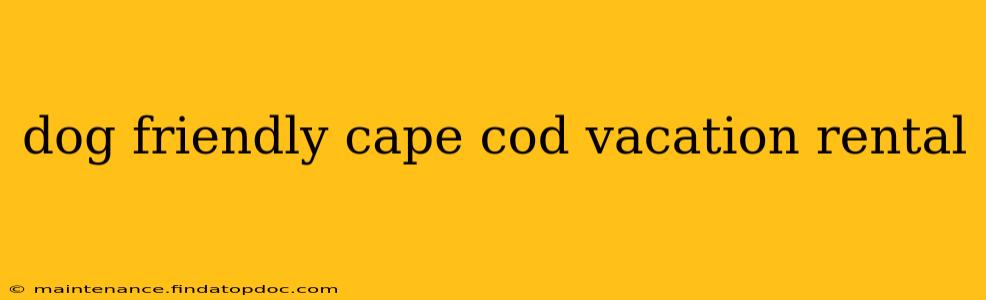 dog friendly cape cod vacation rental