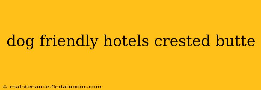 dog friendly hotels crested butte