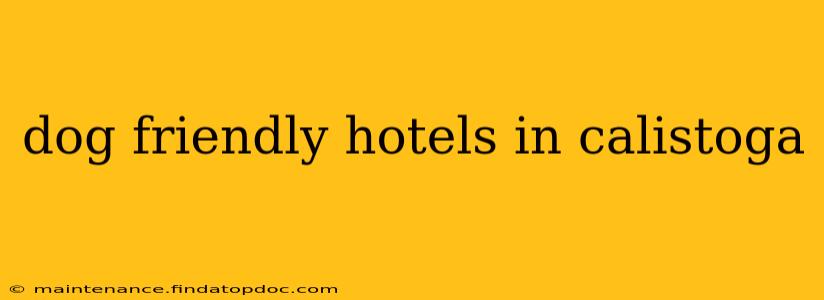 dog friendly hotels in calistoga