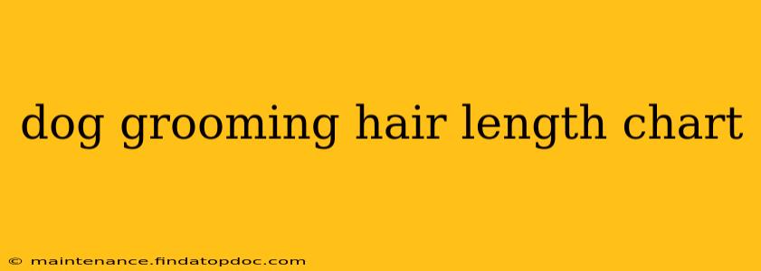 dog grooming hair length chart