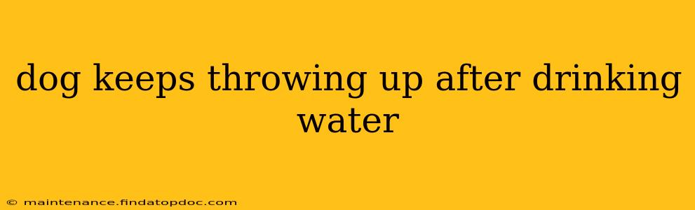 dog keeps throwing up after drinking water