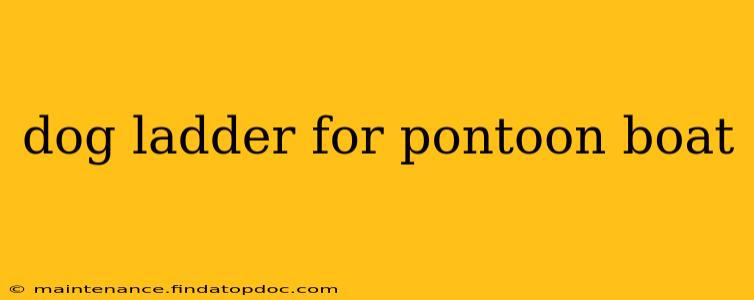 dog ladder for pontoon boat