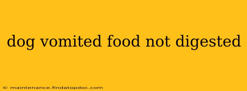 dog vomited food not digested