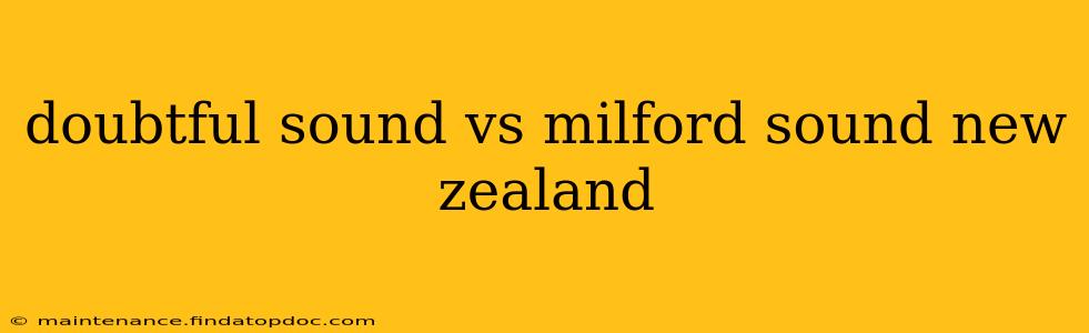 doubtful sound vs milford sound new zealand