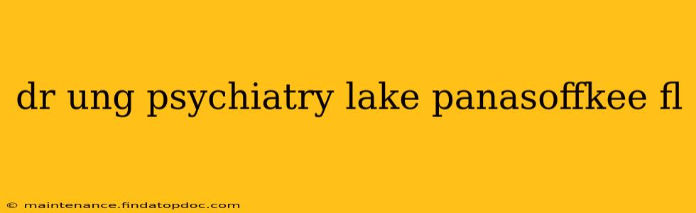 dr ung psychiatry lake panasoffkee fl