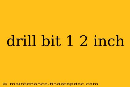 drill bit 1 2 inch