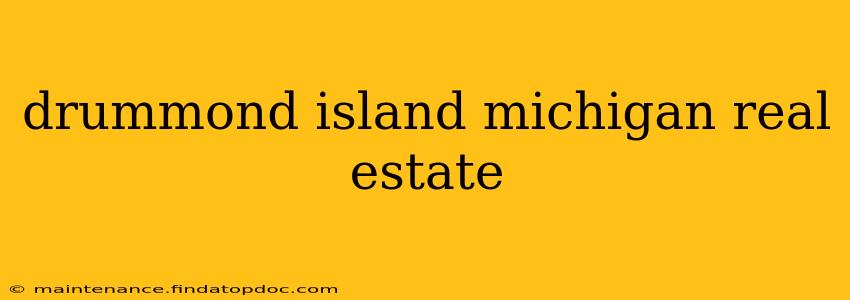 drummond island michigan real estate