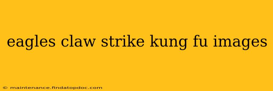 eagles claw strike kung fu images