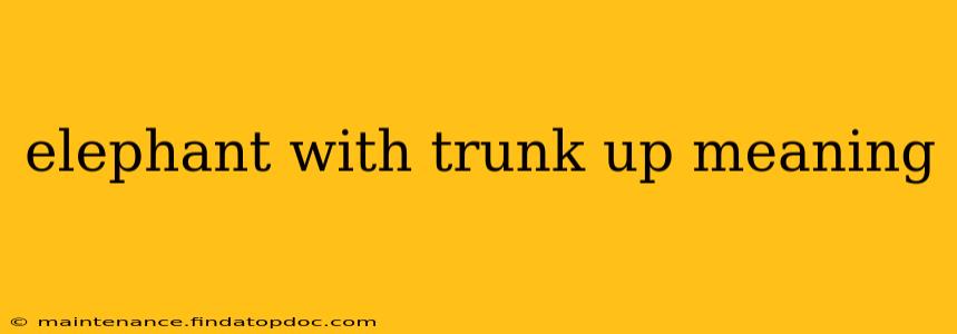 elephant with trunk up meaning