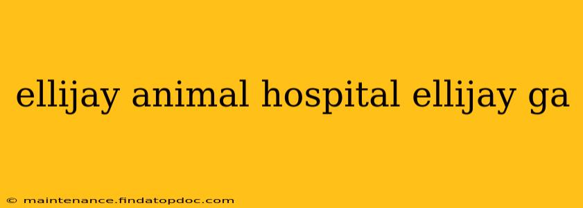 ellijay animal hospital ellijay ga