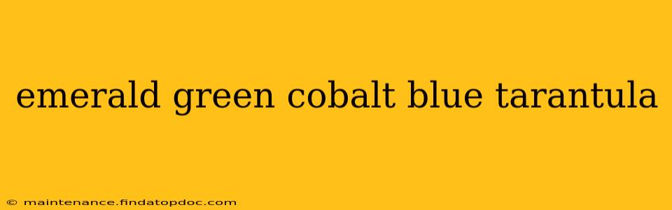 emerald green cobalt blue tarantula