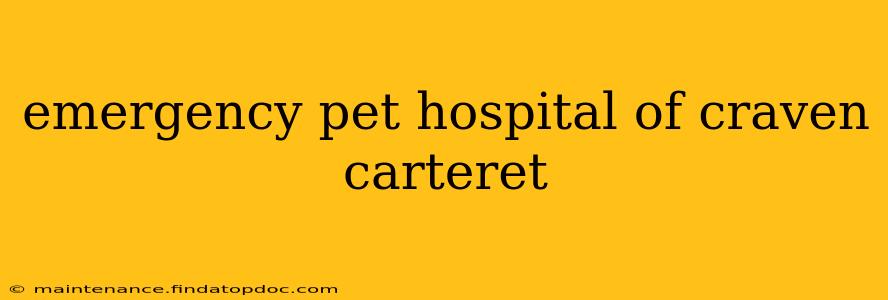 emergency pet hospital of craven carteret
