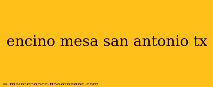 encino mesa san antonio tx