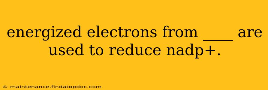 energized electrons from ____ are used to reduce nadp+.