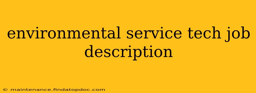 environmental service tech job description