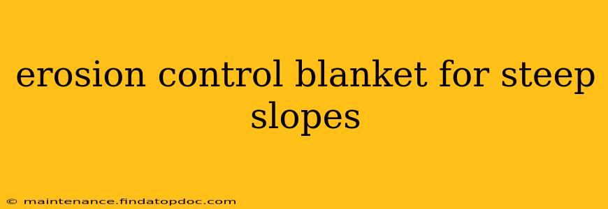 erosion control blanket for steep slopes