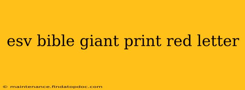 esv bible giant print red letter
