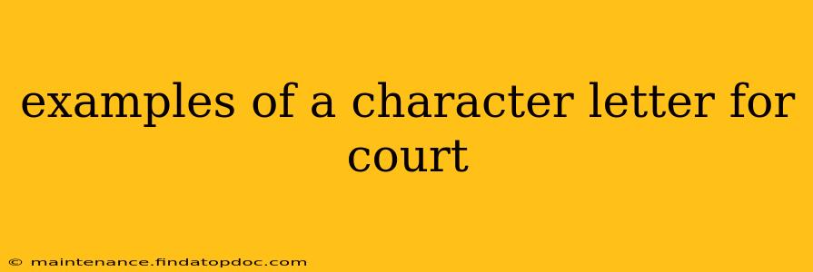examples of a character letter for court