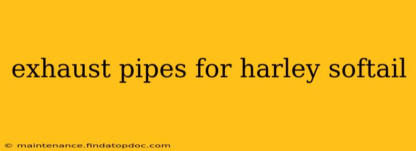 exhaust pipes for harley softail